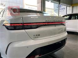 BYD Destroyer 05